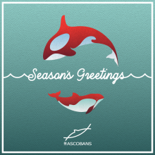 ASCOBANS Season's Greetings e-card 2020.  © ASCOBANS Secretariat